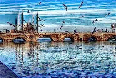 Adana Şehirler arası Nakliyat